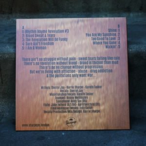 Rhythm Rhyme Revolution #3 – Vinyl LP (Limited Edition – 300 Pressed)